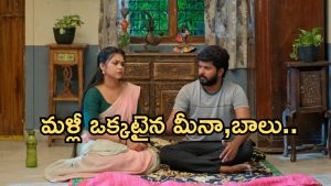 GudiGantalu Today episode: శృతిని ఇరికించిన మీనా.. బాలును చూసి మీనా హ్యాపీ.. తప్పించుకున్న ప్రభావతి..