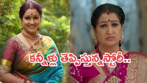 Gundeninda Gudigantalu Kamakshi : ‘గుండెనిండా గుడిగంటలు’ కామాక్షి రియల్ లైఫ్ లో అన్నీ కష్టాలే.. 12 ఏట పెళ్లి..