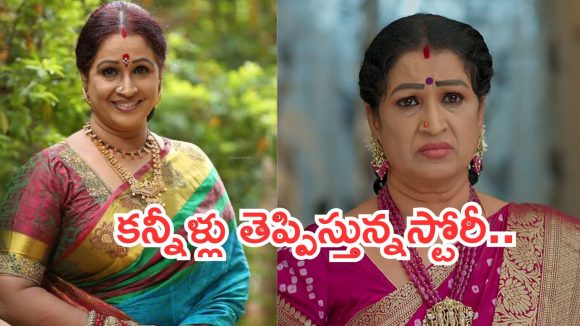 Gundeninda Gudigantalu Kamakshi : ‘గుండెనిండా గుడిగంటలు’ కామాక్షి రియల్ లైఫ్ లో అన్నీ కష్టాలే.. 12 ఏట పెళ్లి..