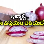 Type-2 Diabetics: ఇంట్లోని ఉల్లిగడ్డతో ఒంట్లోని డయాబెటిస్ తరిమికొట్టొచ్చా? డాక్టర్లు ఏం చెప్తున్నారంటే?