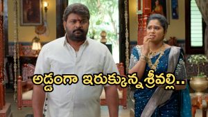 Illu Illalu Pillalu Today Episode: ప్రేమను అసహ్యించుకున్న ధీరజ్.. శ్రీవల్లికి దిమ్మతిరిగే షాక్.. తెగించేసిన సాగర్..