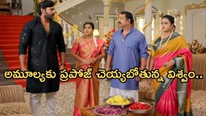 Illu Illalu Pillalu Today Episode: కొడుకుల ప్రేమతో రామ రాజు ఫిదా.. ఘనంగా దీపావళి పూజ..ధీరజ్ కోసం పోలీసుల రాక..