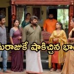 Illu Illalu Pillalu Today Episode: శ్రీవల్లితో డ్యాన్స్ చేయించిన ప్రేమ.. ధీరజ్ కు ప్రేమ షాక్.. భాగ్యం మరో ప్లాన్..