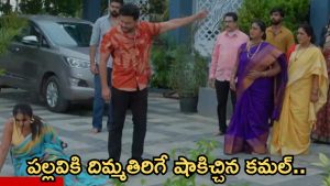 Intinti Ramayanam Today Episode: పల్లవి ప్లాన్ రివర్స్..ఇంట్లోంచి గేంటేసిన కమల్.. ఒక్కటైన అవని, అక్షయ్..