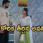 Intinti Ramayanam Today Episode: నిజం చెప్పిన పల్లవి.. ఇంట్లోంచి గెంటేసిన కమల్.. అవనికి అక్షయ్ క్షమాపణలు..