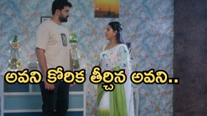 Intinti Ramayanam Today Episode: నిజం చెప్పిన పల్లవి.. ఇంట్లోంచి గెంటేసిన కమల్.. అవనికి అక్షయ్ క్షమాపణలు..