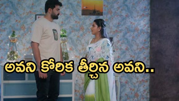 Intinti Ramayanam Today Episode: నిజం చెప్పిన పల్లవి.. ఇంట్లోంచి గెంటేసిన కమల్.. అవనికి అక్షయ్ క్షమాపణలు..