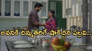 Intinti Ramayanam Today Episode: కన్నీళ్లు పెట్టుకున్న కమల్.. మారిపోయిన అక్షయ్.. అవనికి మైండ్ బ్లాక్..