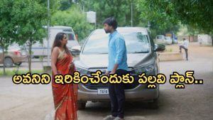 Intinti Ramayanam Today Episode: డబ్బుల కోసం రచ్చ చేసిన శ్రీయా.. అన్నదమ్ముల మధ్య గొడవ..పల్లవి ప్లాన్ సక్సెస్..