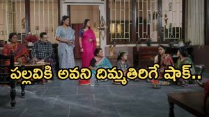 Intinti Ramayanam Today Episode: అవనిని అవమానించిన పల్లవి.. భానుమతి క్లాస్.. పల్లవికి షాకిచ్చిన అవని..