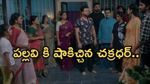 Intinti Ramayanam Today Episode: పల్లవి పై చక్రధర్ సీరియస్.. శ్రీయ పెద్ద గొడవ.. అవనికి సపోర్ట్ గా అక్షయ్..