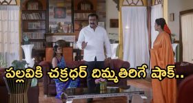 Malavika Mohanan : చీరలో హొయలు ఒలకబోస్తున్న మాళవిక.. చూపు తిప్పుకోవడం కష్టమే..