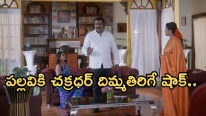 Intinti Ramayanam Today Episode: అవని మాటకు అక్షయ్ ఫిదా.. ఇంట్లో నుంచి వెళ్ళిపోయిన పల్లవి.. పల్లవి, చక్రధర్ మధ్య గొడవ..