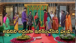 Intinti Ramayanam Today Episode: భరత్ ను ఇరికించిన పల్లవి.. అవనికి బిగ్ షాక్.. పల్లవి ప్లాన్ సక్సెస్ అయ్యిందా..?