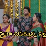 Intinti Ramayanam Today Episode: అక్షయ్ ను రెచ్చగొట్టిన పల్లవి.. పోలీస్ కంప్లైంట్.. ప్రణతి కోసం నిజం చెప్తాడా..?