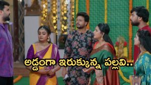 Intinti Ramayanam Today Episode: అక్షయ్ ను రెచ్చగొట్టిన పల్లవి.. పోలీస్ కంప్లైంట్.. ప్రణతి కోసం నిజం చెప్తాడా..?