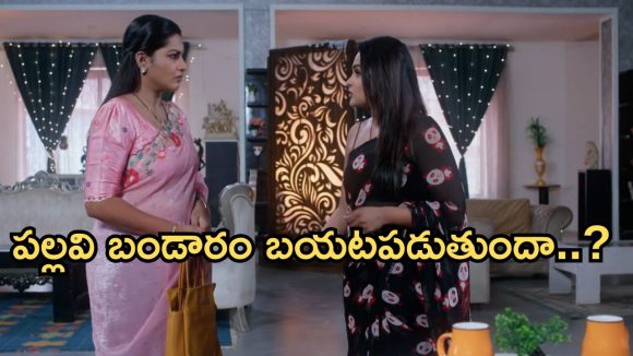 Intinti Ramayanam Today Episode: చక్రధర్ మాస్టర్ ప్లాన్.. అవనితో పల్లవి గొడవ.. ఇంట్లో నిజం తెలిసిపోతుందా..?