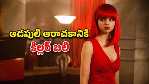 OTT Movie : బాబోయ్ ఇదేం సినిమా… పోలీస్ ఆఫీసర్ మర్డర్… కిల్లర్‌కే చెమటలు పట్టించే అమ్మాయి… కిర్రాక్ క్రైమ్ థ్రిల్లర్