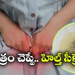 Foamy Urine: మూత్రంలో నురుగ వస్తుందా? అయితే, డేంజర్ బెల్స్ మోగుతున్నట్లే!