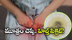 Foamy Urine: మూత్రంలో నురుగ వస్తుందా? అయితే, డేంజర్ బెల్స్ మోగుతున్నట్లే!