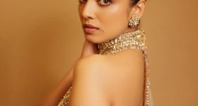 Malavika Mohanan : చీరలో హొయలు ఒలకబోస్తున్న మాళవిక.. చూపు తిప్పుకోవడం కష్టమే..