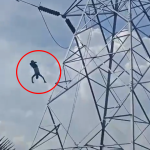 Shocking Video: పెళ్లి చేయాలని హైటెన్షన్ టవర్ ఎక్కిన యువకుడు.. కాపాడే ప్రయత్నంలో