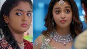 MeghaSandesham : ‘మేఘ సందేశం ‘ భూమి అసలు పేరేంటి..? ఒక్కరోజుకు ఎంతంటే..?