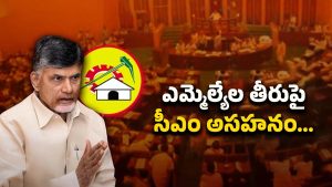 AP Politics: అసెంబ్లీలో టీడీపీ ఎమ్మెల్యేలు వ్యవహరించిన తీరుపై చంద్రబాబు వార్నింగ్..