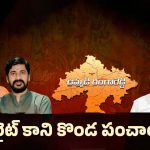 BJP: బీజేపీపై కొండ సెటైర్లు.. ఫ్లవర్ కాదు ఫైర్