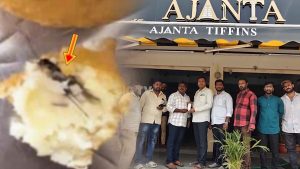 Worms In Mysore Bonda: షాకైన కస్టమర్.. మైసూర్ బోండాలో పురుగులు..