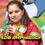 Kavitha New party: కవిత సోలో అజెండా.. ప్రజల్లోకి వెళ్లడానికి 4 నెలల షెడ్యూల్