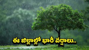 Rain Alert: ముంచుకొస్తున్న ముప్పు.. ఈ ప్రాంతాల్లో భారీ వర్షాలు.. బయటకు వెళ్లారో ముంచేస్తోంది