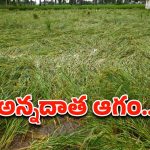 Montha Effect: తుఫాన్‌ నష్టంపై ఏపీ ప్రభుత్వం ప్రాథమిక అంచనా..