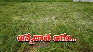 Montha Effect: తుఫాన్‌ నష్టంపై ఏపీ ప్రభుత్వం ప్రాథమిక అంచనా..