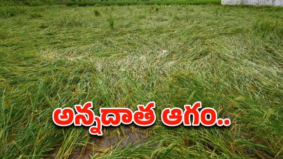 Montha Effect: తుఫాన్ నష్టంపై ఏపీ ప్రభుత్వం ప్రాథమిక అంచనా.. Montha Effect: తుఫాన్ నష్టంపై ఏపీ ప్రభుత్వం ప్రాథమిక అంచనా..