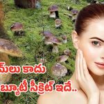 Beauty Secret: అమ్మాయిలు ఈ సీక్రెట్ మీకోసమే.. ఇది తింటే మెరిసే చర్మం మీ సొంతం