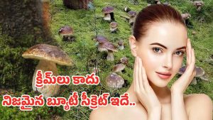 Beauty Secret: అమ్మాయిలు ఈ సీక్రెట్ మీకోసమే.. ఇది తింటే మెరిసే చర్మం మీ సొంతం