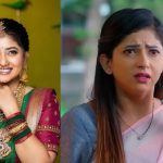 Nindu Nurella Savasam: ‘నిండు నూరేళ్ల సావాసం ‘ ఆరు రియల్ లైఫ్.. ఒక్కరోజుకు అన్ని వేలా..?