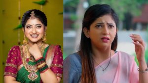 Nindu Nurella Savasam: ‘నిండు నూరేళ్ల సావాసం ‘ ఆరు రియల్ లైఫ్.. ఒక్కరోజుకు అన్ని వేలా..?