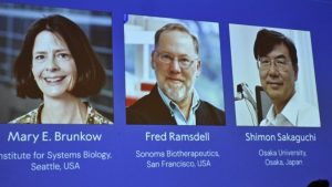 Nobel Prize 2025 Medicine: రోగ నిరోధక వ్యవస్థపై ఆవిష్కరణలు.. వైద్యశాస్త్రంలో ముగ్గురికి నోబెల్