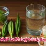 Okra Water: షుగర్ పేషెంట్లకు గుడ్ న్యూస్.. బెండకాయ నీటితో అద్భుత మార్పు!