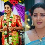 Intinti Ramayanam Avani : ‘ఇంటింటి రామాయణం’ అవని గురించి సీక్రెట్స్..అదే పెద్ద మిస్టేక్..