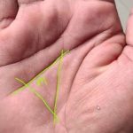Palmistry: అరచేతుల్లో ఈ మూడు గుర్తులు ఉంటే చాలు, జీవితంలో డబ్బుకు లోటే ఉండదు