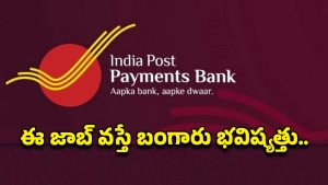 IPPB Recruitment: డిగ్రీ అర్హతతో భారీగా ఎగ్జిక్యూటివ్ ఉద్యోగాలు.. తెలుగు రాష్ట్రాల్లో వెకెన్సీలు, ప్రారంభ వేతనమే రూ.30వేలు..