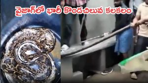 Viral Video: వైజాగ్‌లో భారీ కొండచిలువ.. 12 అడుగుల పామును చూసి జనం భయాందోళన!