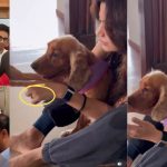 Rashmika – Vijay: హమ్మయ్య.. ఎంగేజ్మెంట్‌ని అఫిషియల్‌గా ప్రకటించిన రష్మిక.. పెళ్లి తేదీ ఫిక్స్!
