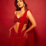 Sonal Chauhan :  రెడ్ శారీలో బాలయ్య బ్యూటీ సొగసు చూడతరమా.. అబ్బా కష్టమే మరి..