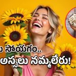 Sunflower Seeds: రోజుకి పిడికెడు చాలు.. సూర్యకాంతిలా ప్రకాశిస్తారు!
