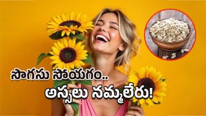 Sunflower Seeds: రోజుకి పిడికెడు చాలు.. సూర్యకాంతిలా ప్రకాశిస్తారు!