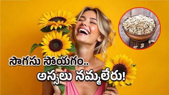 Sunflower Seeds: రోజుకి పిడికెడు చాలు.. సూర్యకాంతిలా ప్రకాశిస్తారు! Sunflower Seeds: రోజుకి పిడికెడు చాలు.. సూర్యకాంతిలా ప్రకాశిస్తారు!